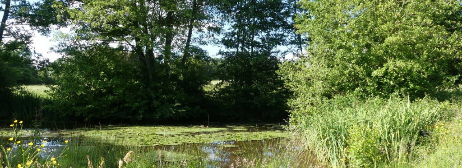 Visite d'un refuge pour la biodiversite