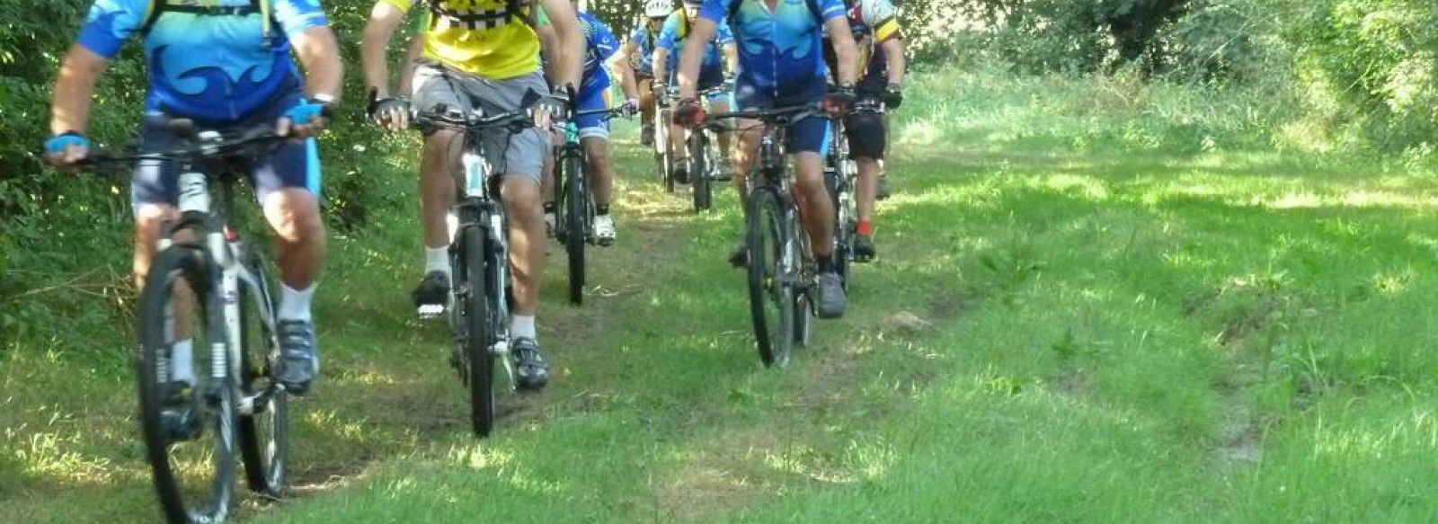 SORTIE VTT