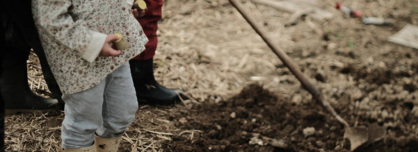 Mise en culture des plantes du bocage en famille - Annule