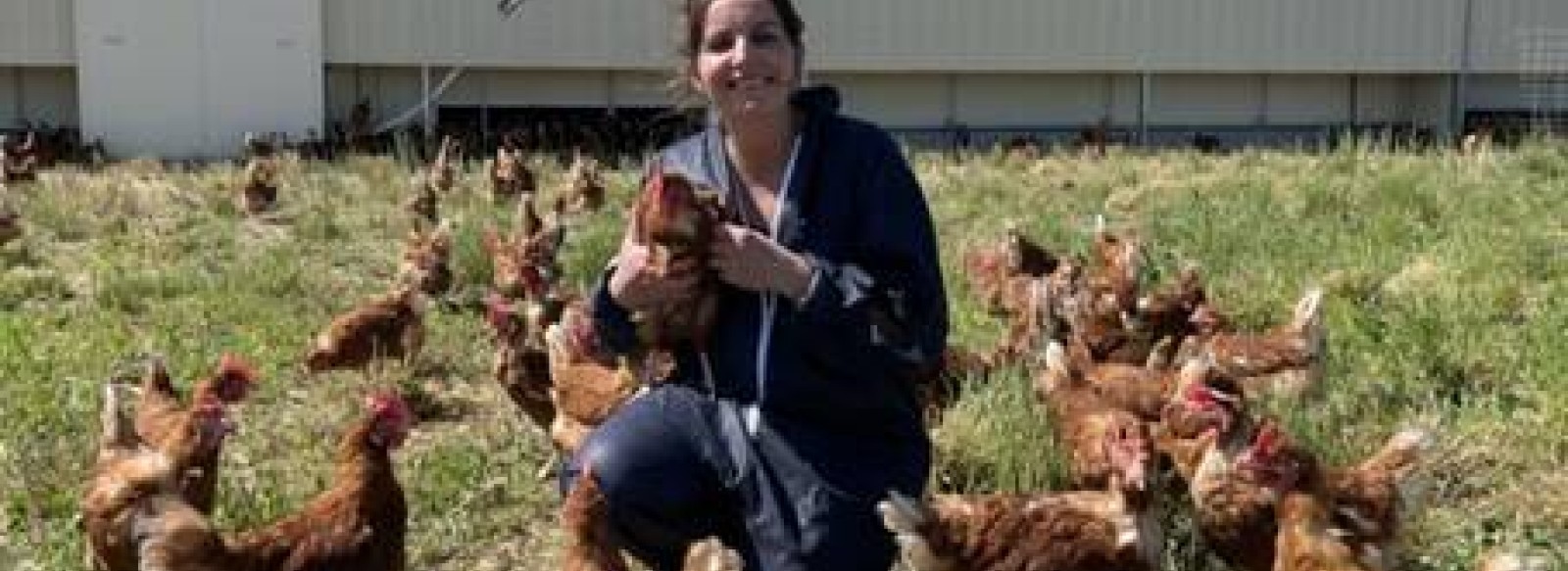 DECOUVERTE DE L'ATELIER DES POULES PONDEUSES SCEA - LES JOLIES ROUSSES - QUINZAINE DE L'ENVIRONNEMENT