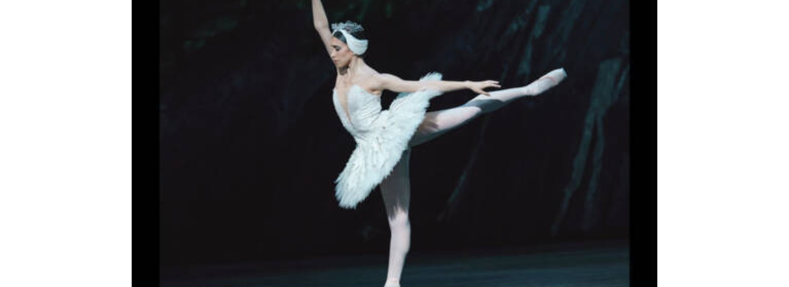 The Royal Ballet - Le Lac des Cygnes