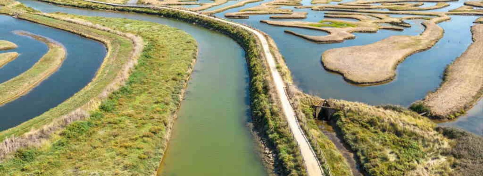 LES MARAIS DE LA CHAPELLE