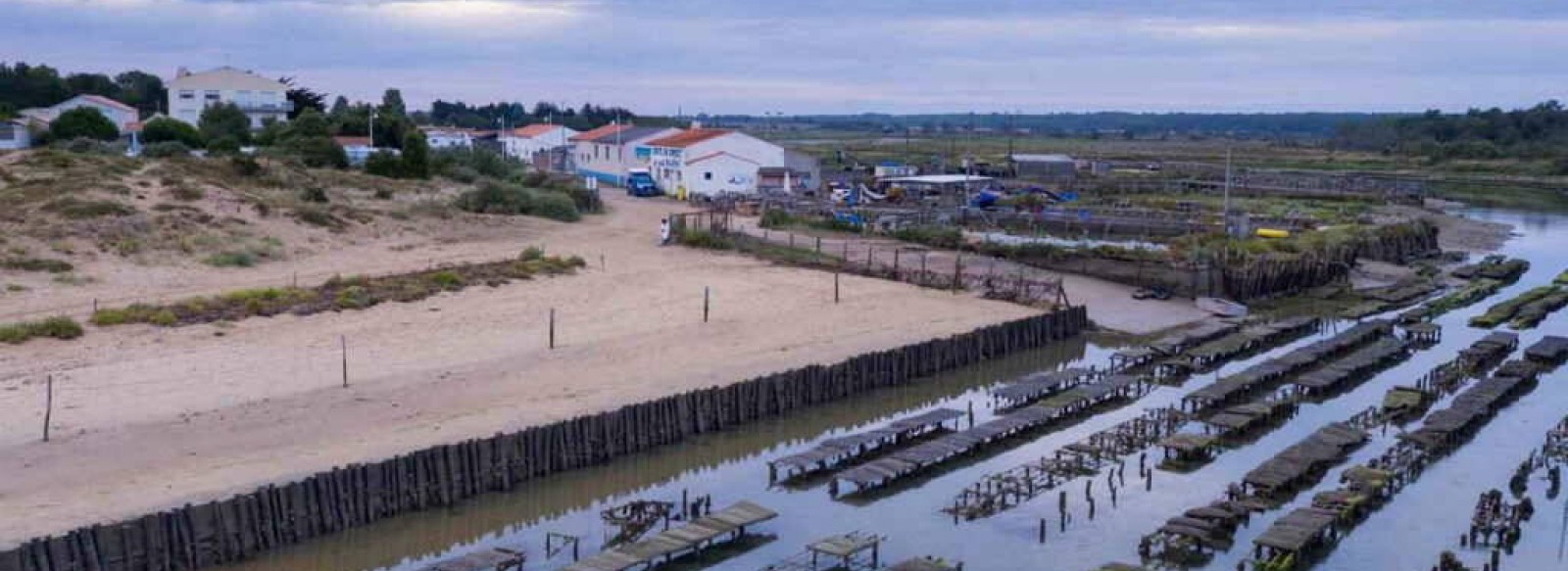 DECOUVERTE DE L'OSTREICULTURE