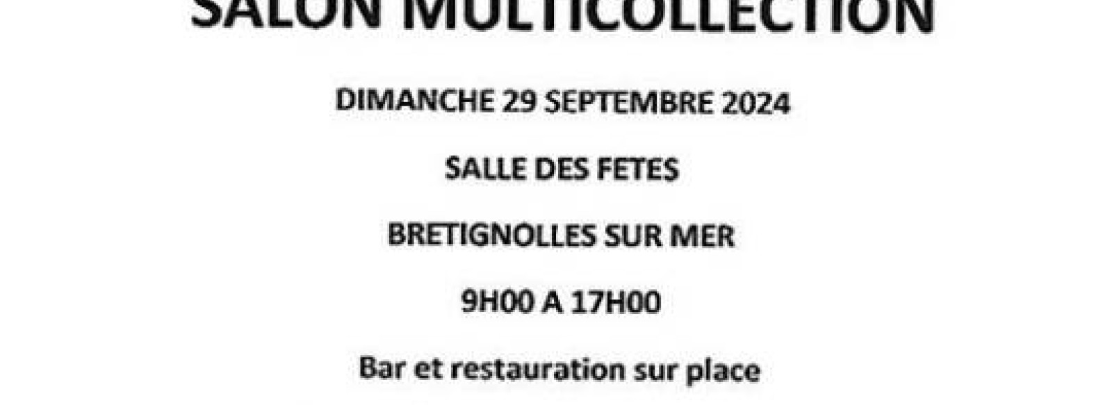 Salon des collectionneurs a Bretignolles sur Mer