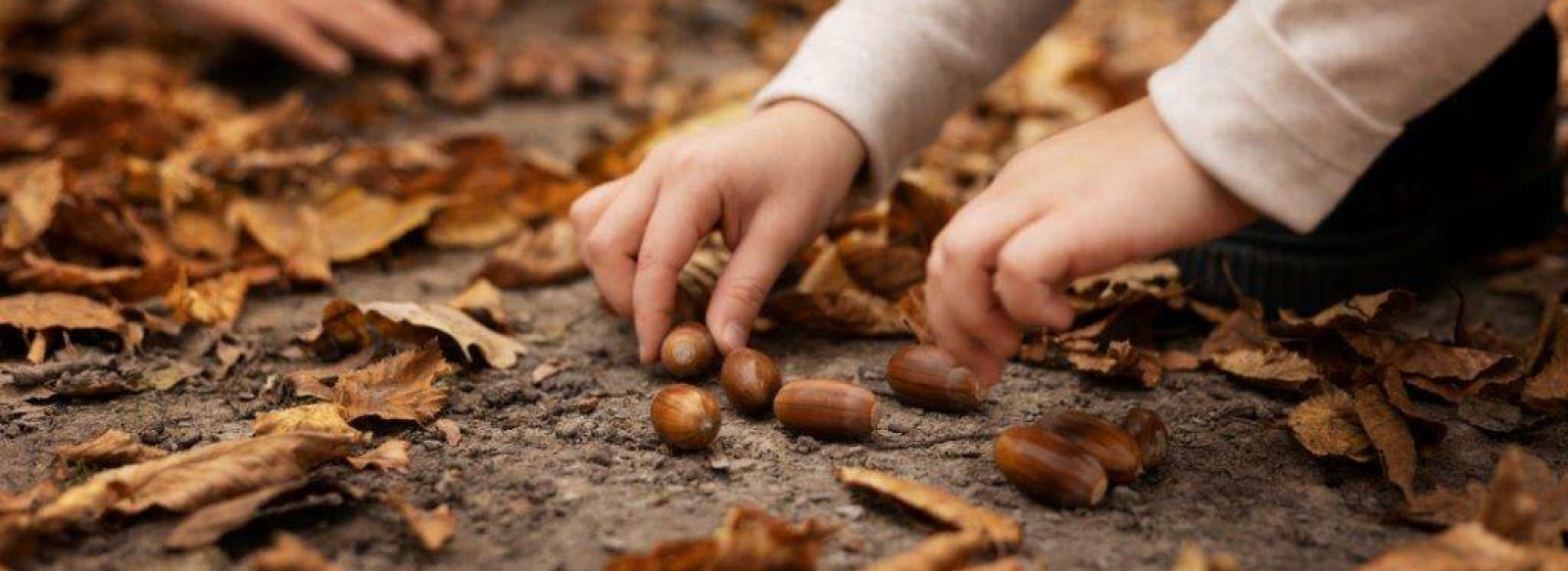 La nature a l'automne, pour les 3-6 ans