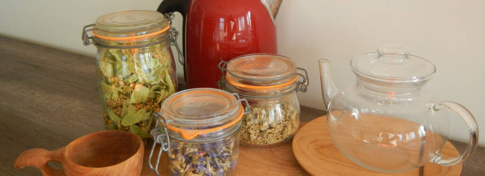 Sortie plantes sauvages utiles en infusion et atelier tisane