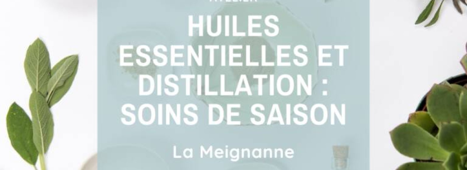 Atelier : Huiles Essentielles