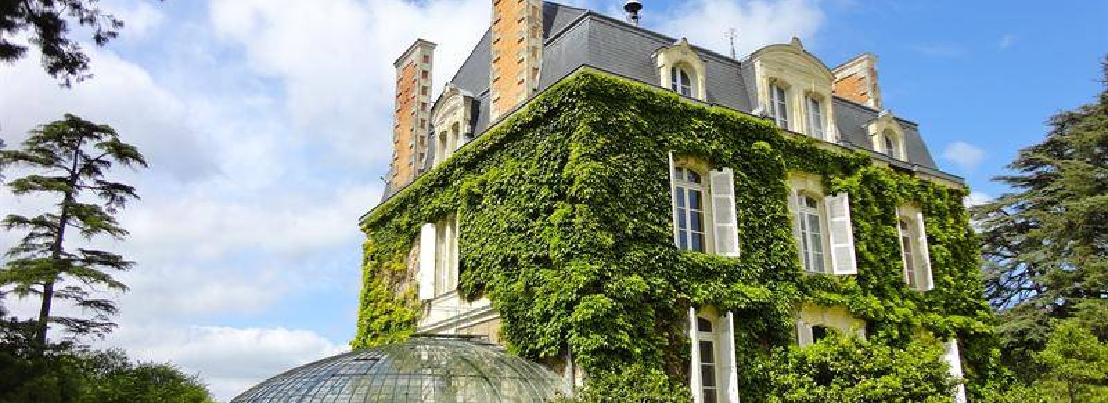 CHAMBRE D'HOTES DU CHATEAU VERT LA LASSERIE