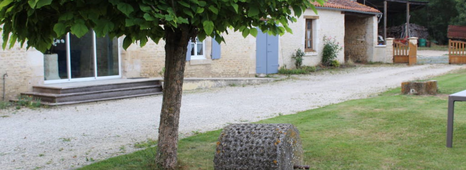 L'ORCHIDEE DU MARAIS POITEVIN