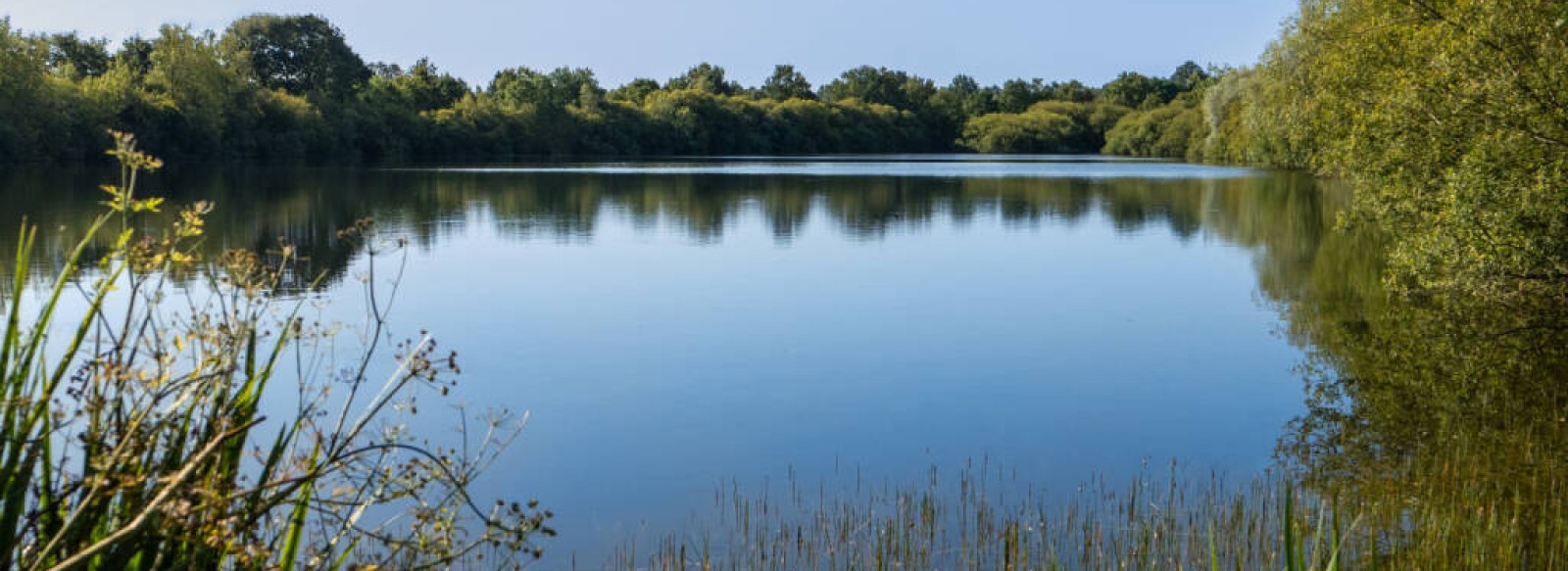 Locatifs - Au Pre de l'Etang