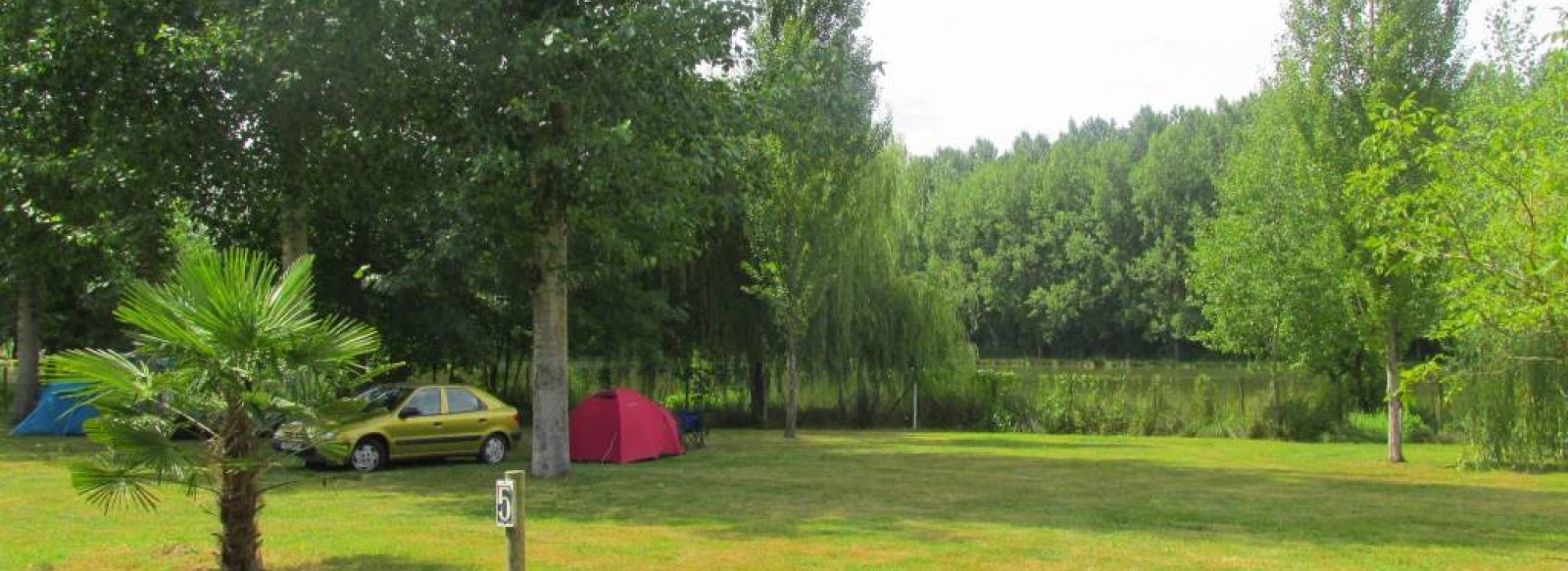 CAMPING LA JAMONIERE - LES AMIS DE LA FORET