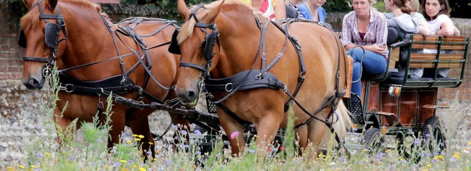 BOUCLE EQUESTRE DE ST-PERE A ST-BREVIN