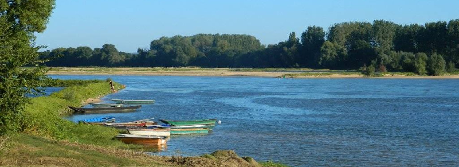 La Boire Torse - Vair-sur-Loire > Ingrandes-Le Fresne sur Loire