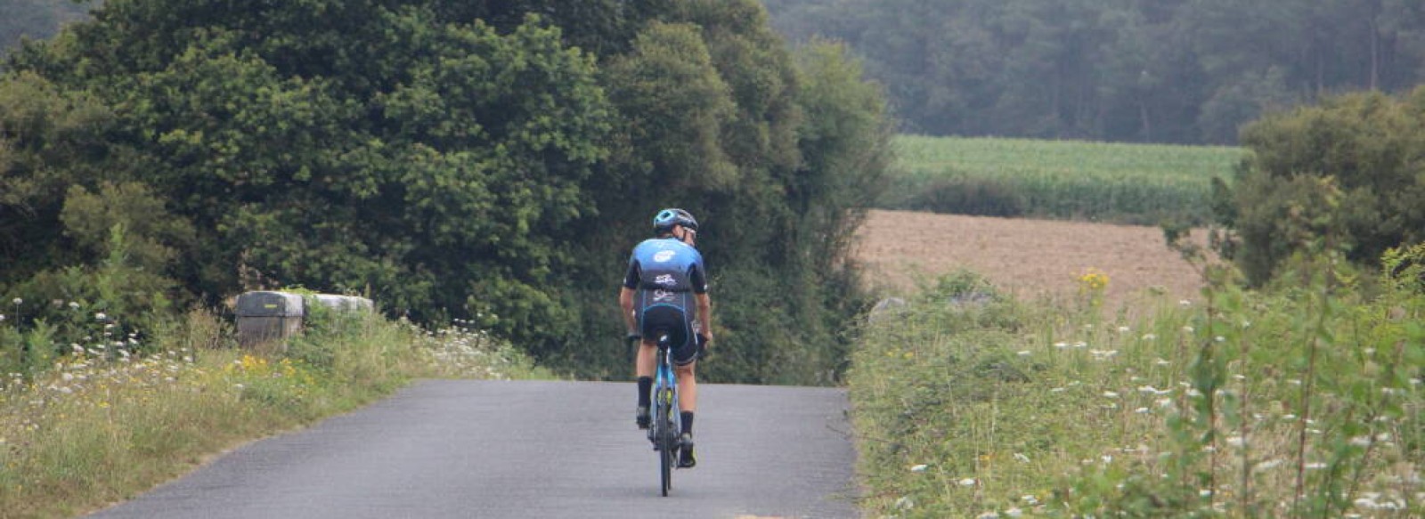 Circuit VTT N 1 Vioreau - Joue-sur-Erdre