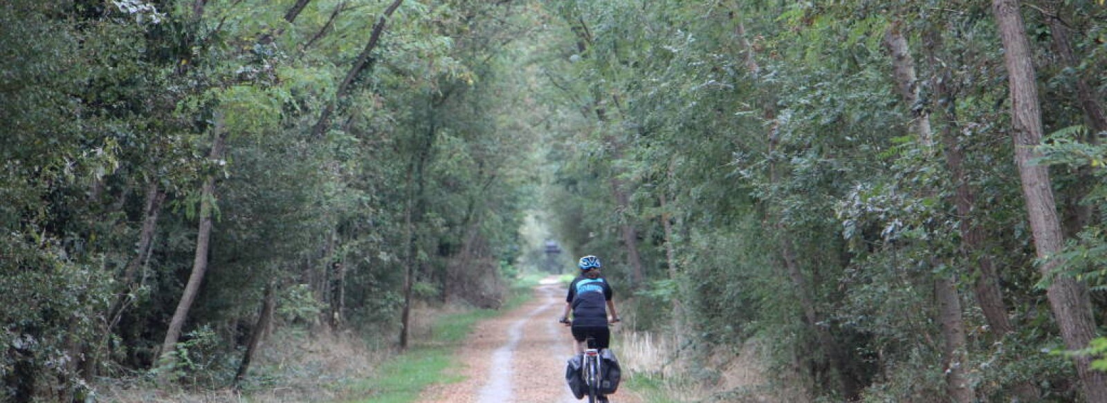 Circuit de la loge au moine - Ligne