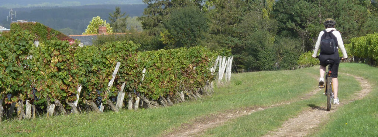 BOUCLE VTT LA BREILLE-LES-PINS/BRAIN-SUR-ALLONNES