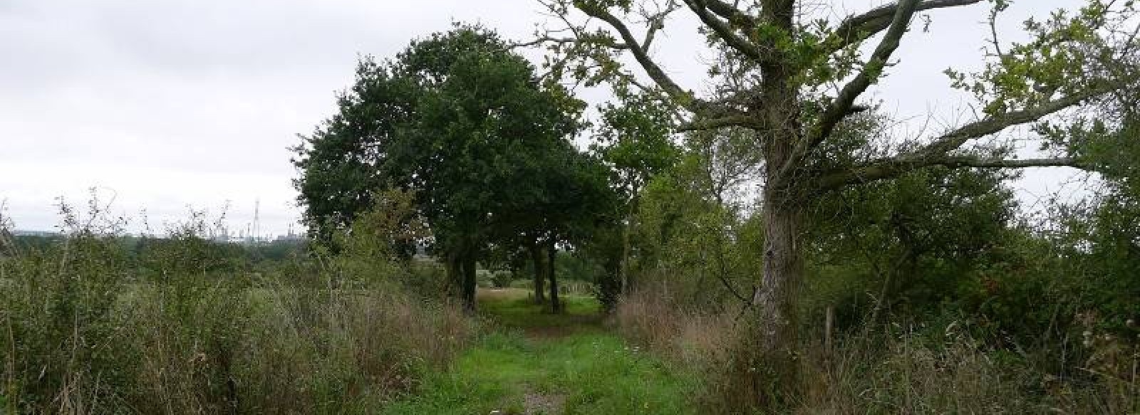 LES MARAIS DE MACA