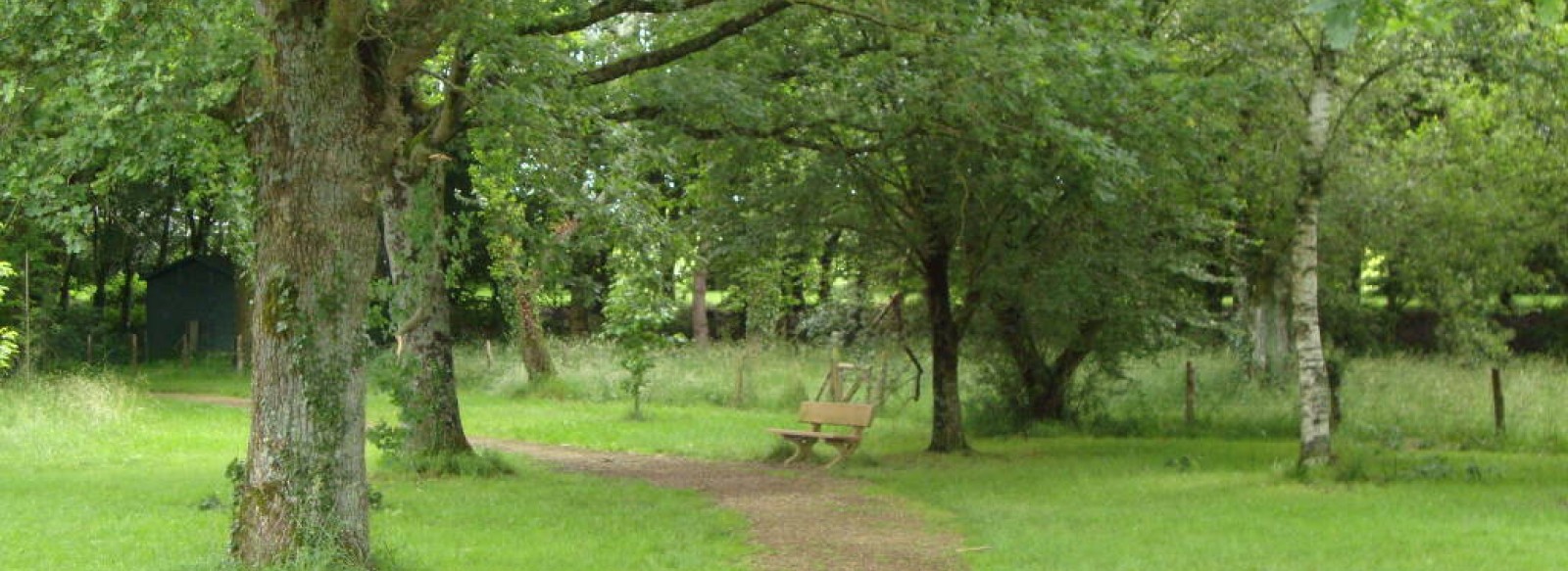 Aire de pique-nique - Route de Begrolles