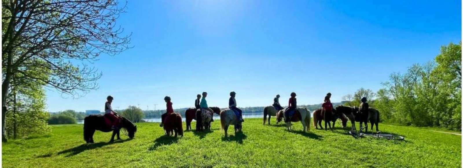 Association Lac de Maine Equitation: Autour du cheval France, Pays de la  Loire