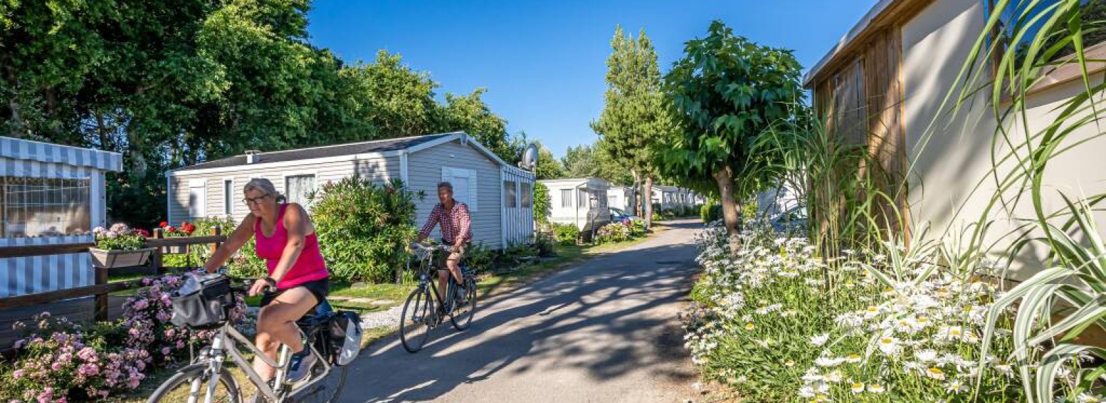 Location de velo au camping de la Guichardiere