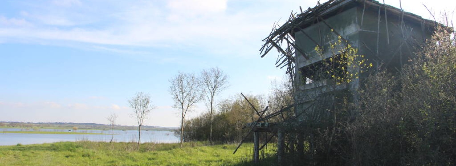 Observatoire ornithologique du Marais de Gree