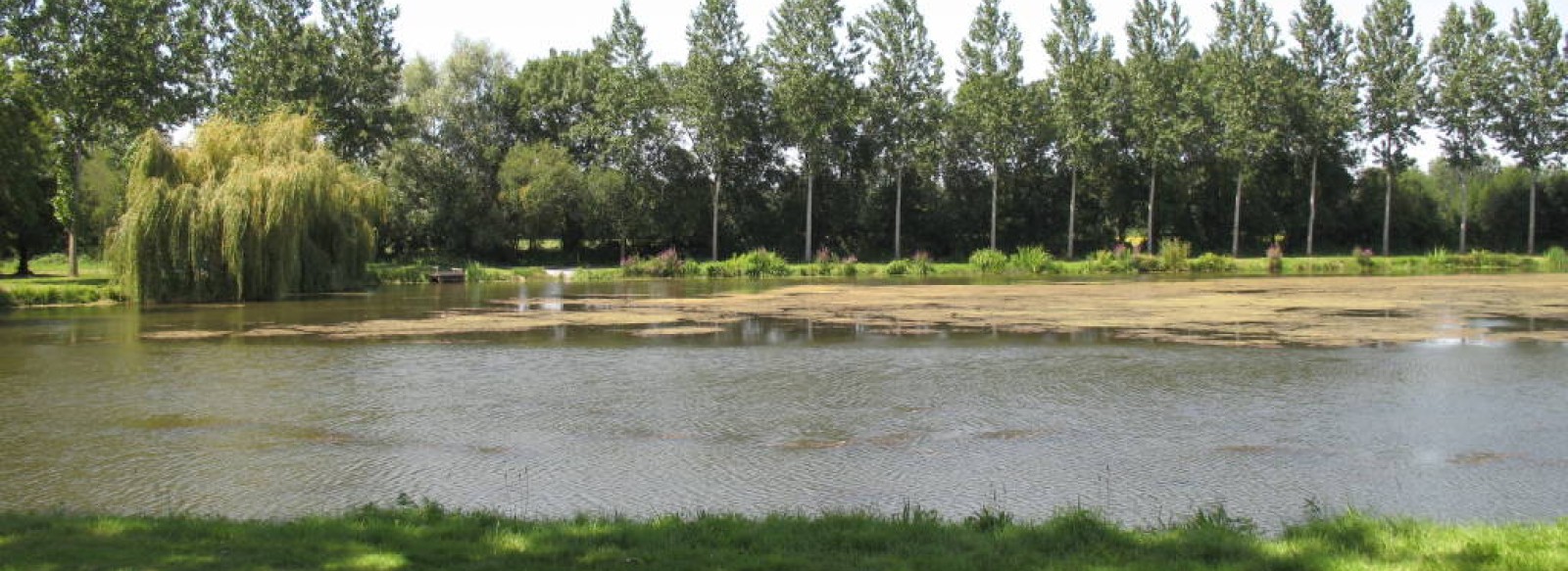 AIRE DE PIQUE-NIQUE - PLAGE DE ROCHEFORT SUR LOIRE