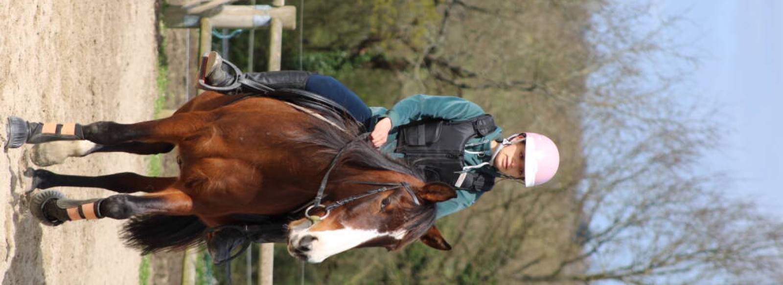 PONEY CLUB DE LA VIE: Autour du cheval France, Pays de la Loire