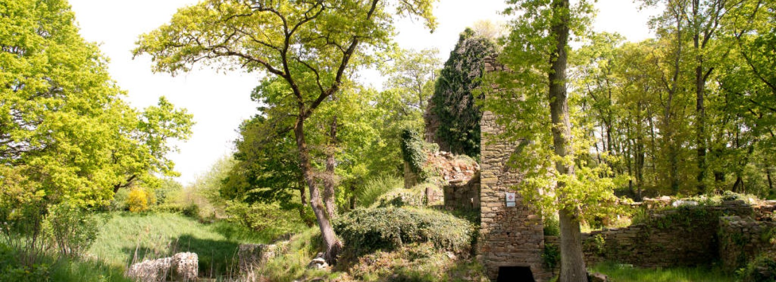 RUINES DU CHATEAU DU GOUST