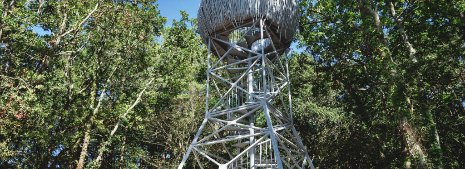 LE NID-OBSERVATOIRE DU POLE DE LOISIRS DU LAC