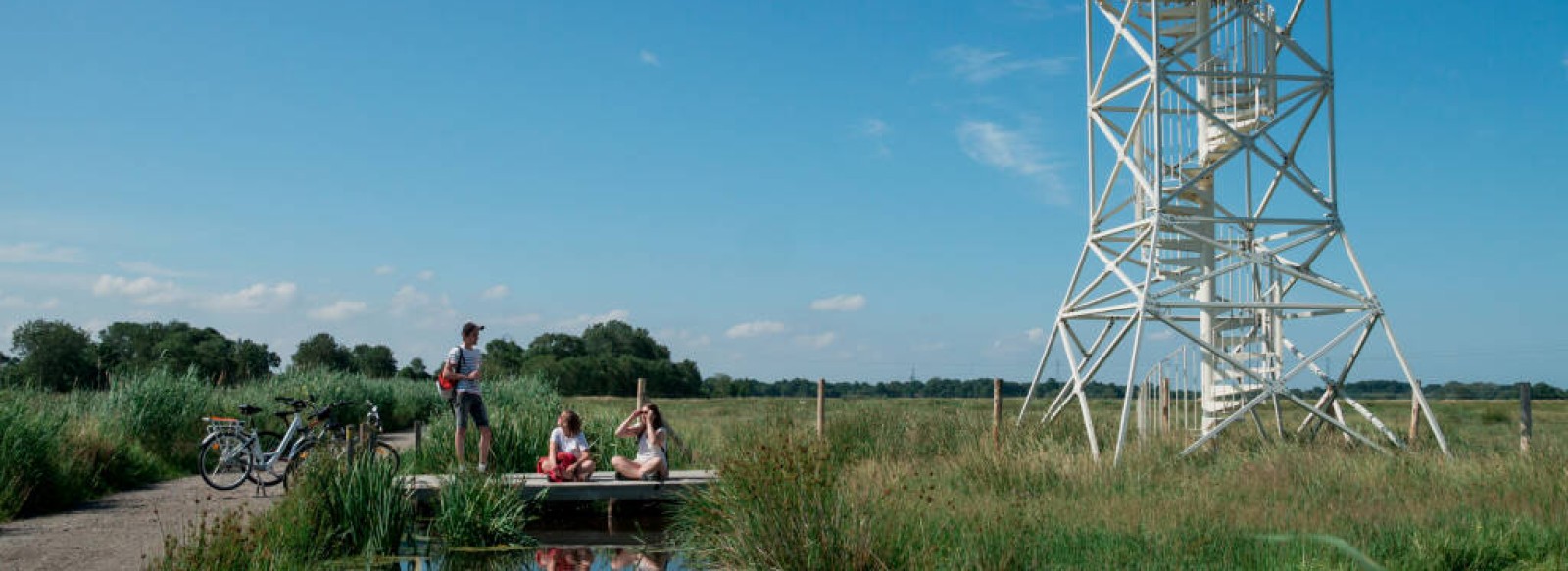 LE NID-OBSERVATOIRE DU MARAIS DU FRESNIER