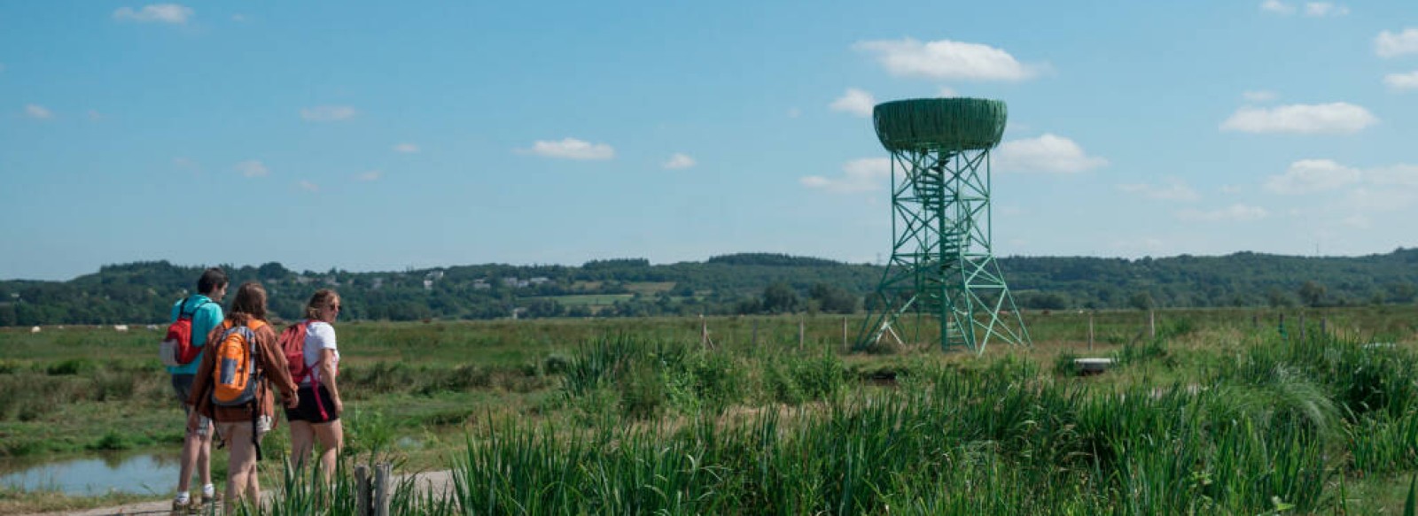 LE NID-OBSERVATOIRE DU MARAIS DU SYL