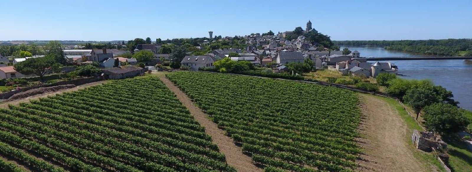 Clos de vigne de La Pierre a Fourneau