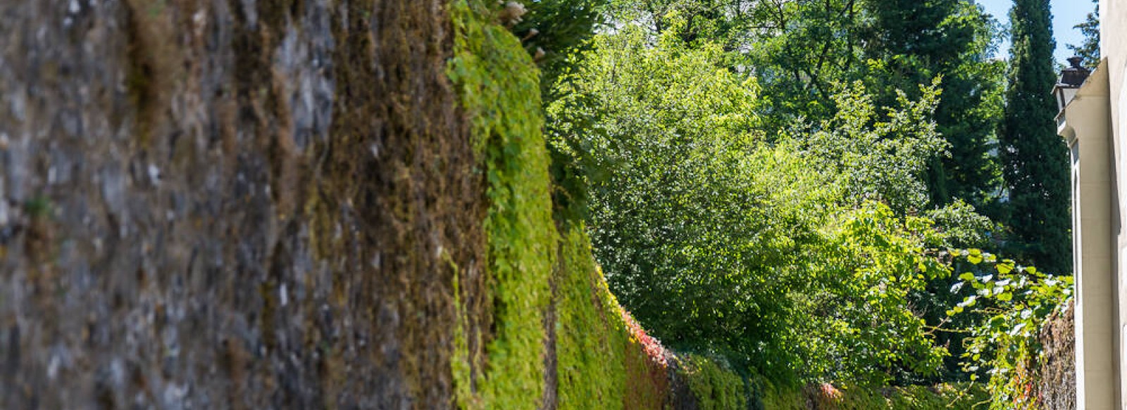 Village de Solesmes