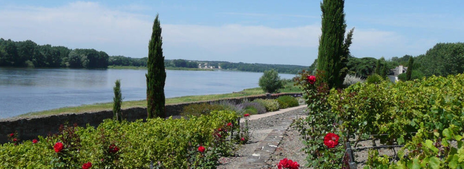 Sainte-Gemmes-sur-Loire, Fleur de Loire