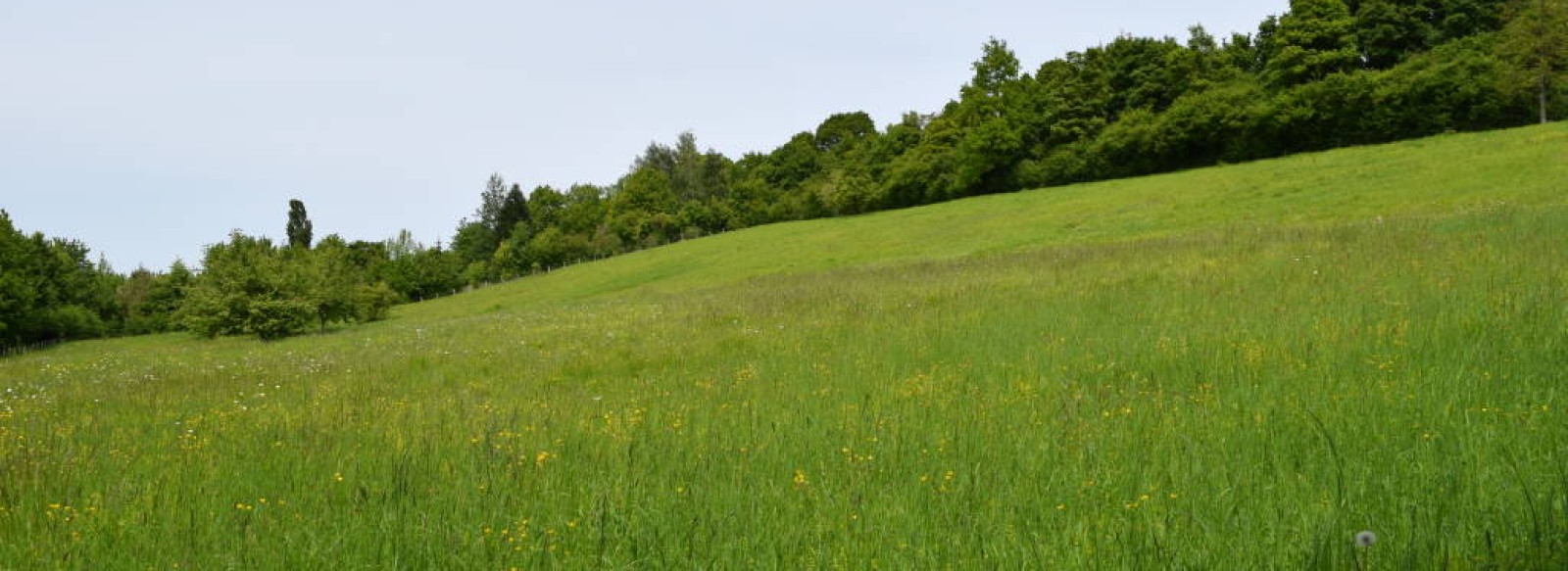 Le Coteau des Buttes