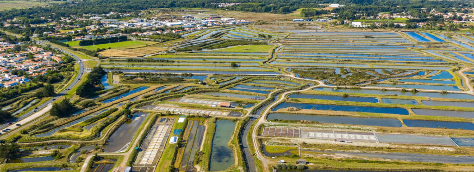 LES MARAIS SALANTS DE LA VIE