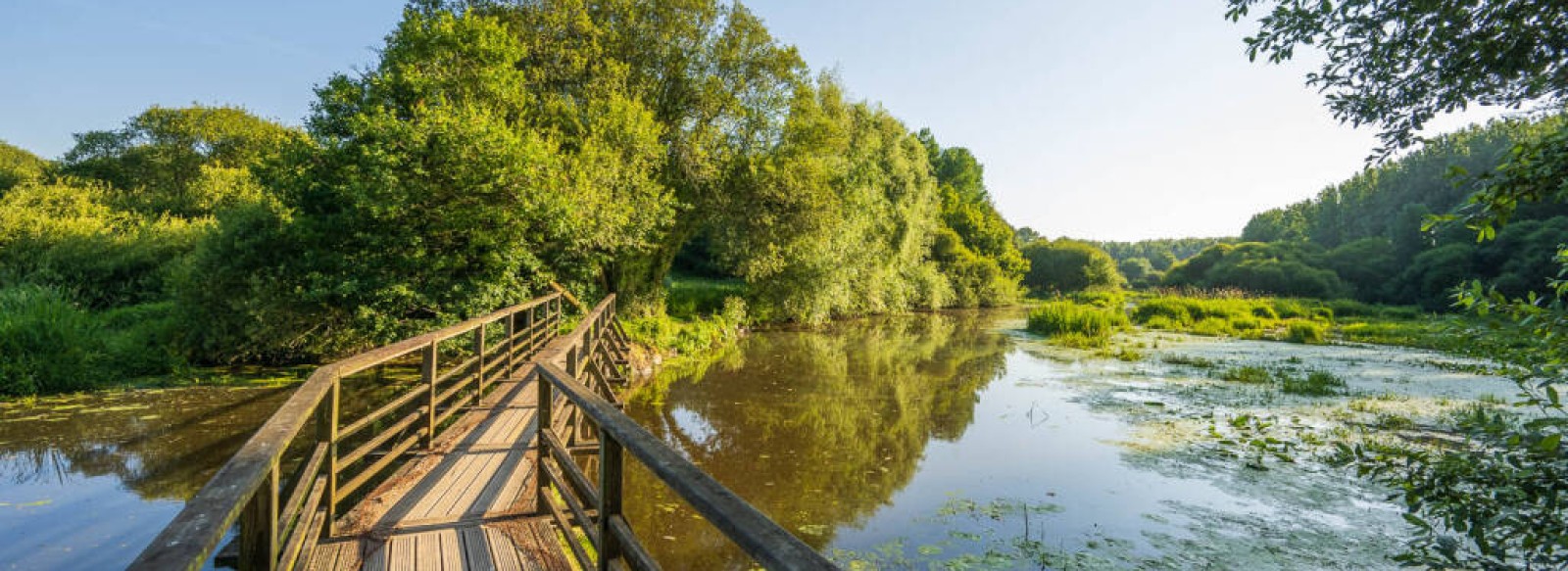 PASSERELLE OBSERVATOIRE DU LAC DU JAUNAY