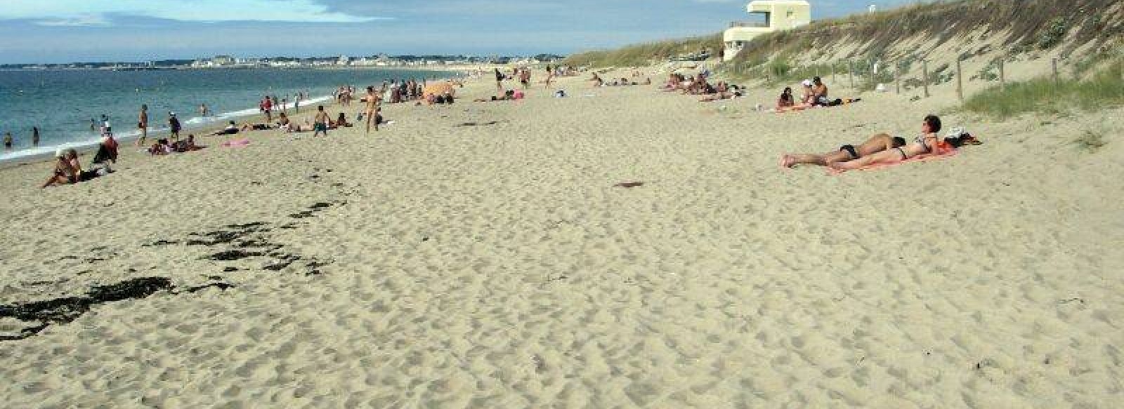 Plage de la Grande Falaise: Autour de la nature France, Pays de la Loire