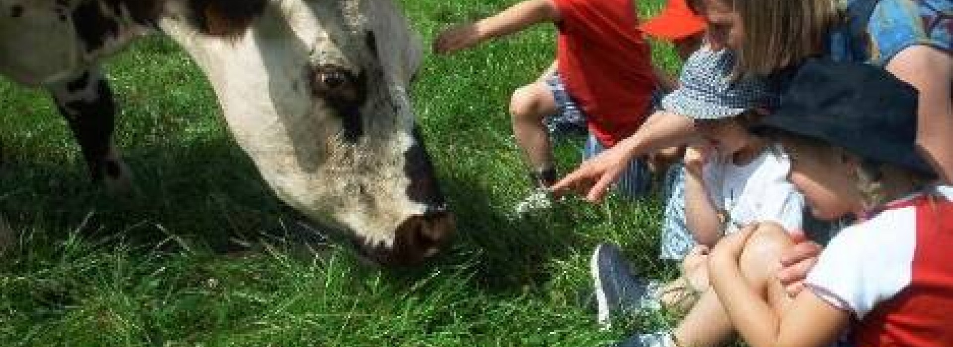 1 Heure Au Milieu Des Vaches Et On Ne Va Pas S Ennuyer Fetes Et Manifestations France Pays De La Loire