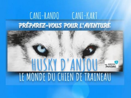 HUSKY Du0027ANJOU : LE MONDE DU CHIEN DE TRAINEAU: Loisirs pour jeunes 