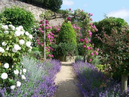 jardins des senteurs